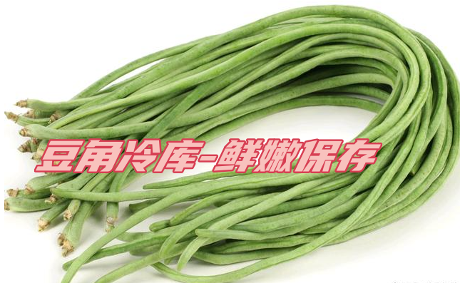 豆角工業(yè)冷庫(kù)：鮮嫩保存，一年四季供應(yīng)