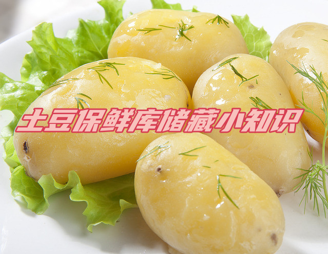 土豆保鮮庫(kù)儲(chǔ)存方法解析，延長(zhǎng)土豆保鮮期的秘訣