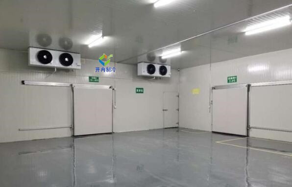 打造智能化電商生鮮冷庫(kù)，解鎖鮮活食材的流通奧秘