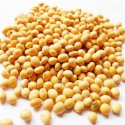 鮮黃豆冷庫設計安裝造價，冷庫保鮮溫度是多少