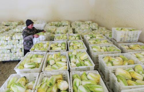 5000噸蔬菜保鮮庫(kù)