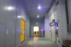 10000立方米食品多溫冷庫造價(jià)，總投資大概要多少錢