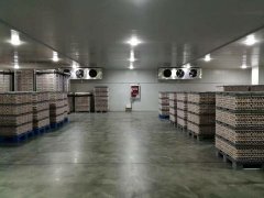 定制一個1000立方食品冷藏庫，需要多少錢？