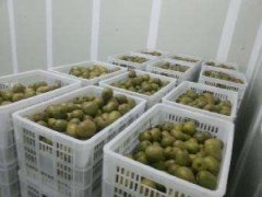 4000立方氣調冷庫安裝要多少錢？