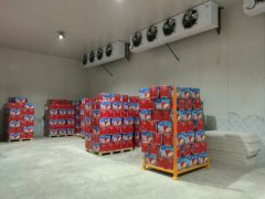 建造一個(gè)4000平方蘋果冷庫大概需要多少錢？