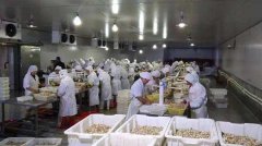 水產海鮮冷庫工程建造需要準備多少資金？