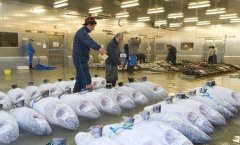 萬噸海鮮冷庫建造價格是多少？