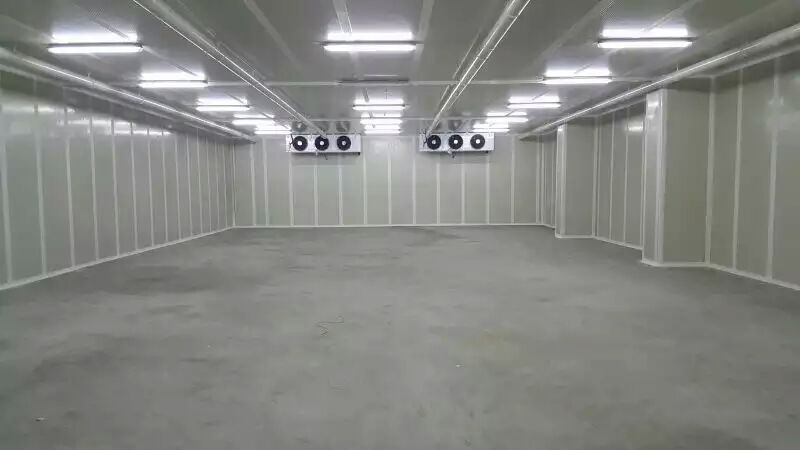 水果氣調庫 水果氣調庫