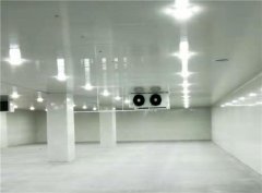 建個一萬平出租型冷庫大概需要投資多少錢?