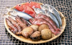 -25℃海鮮冷庫建造安裝,冷庫報價