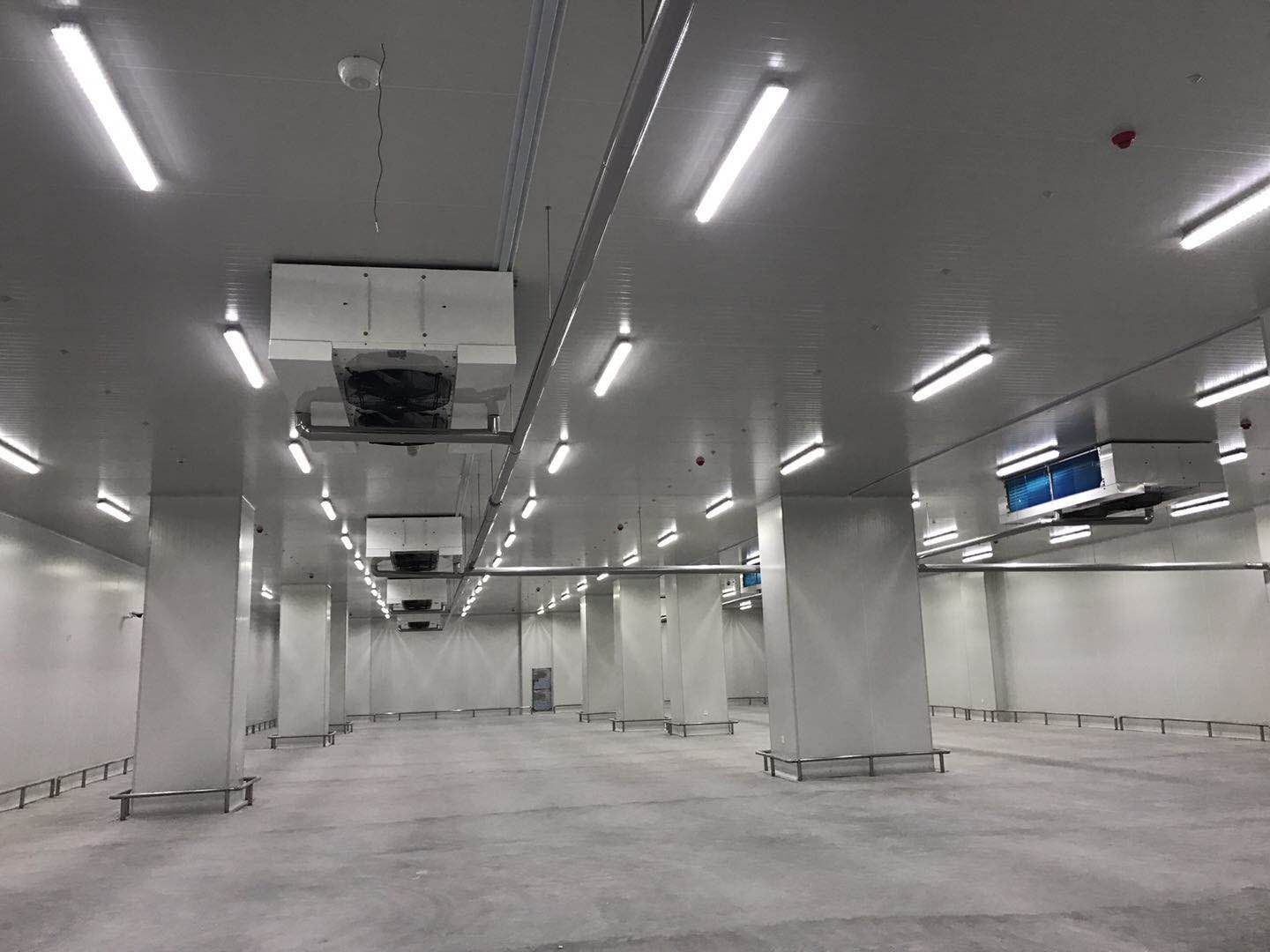 10000平米大型海鮮冷庫(水產冷凍庫)冷庫建造方案 10000平米大型海鮮冷庫(水產冷凍庫)冷庫建造方案