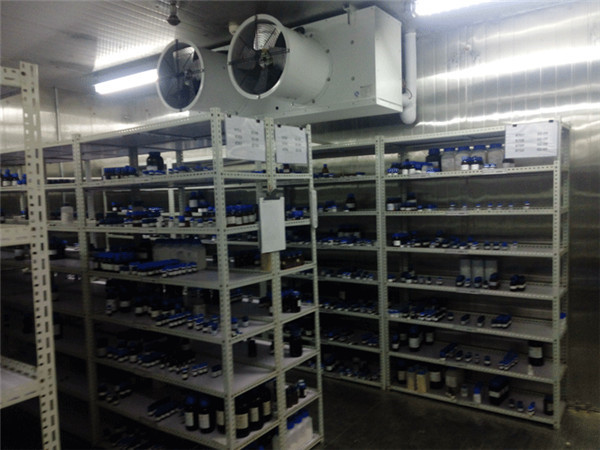 500平米2-8℃藥品冷庫 500平米2-8℃藥品冷庫