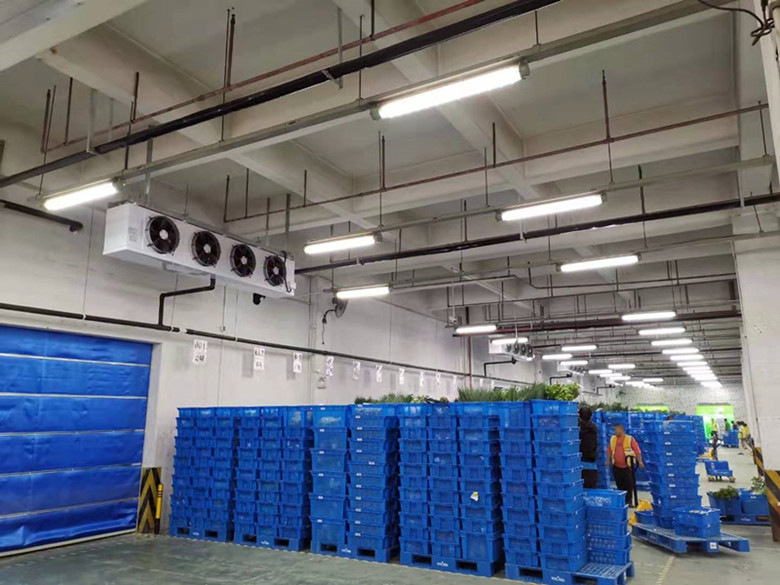 投資大型冷鏈配送中心冷凍庫設(shè)備安裝費用多少 投資大型冷鏈配送中心冷凍庫設(shè)備安裝費用多少