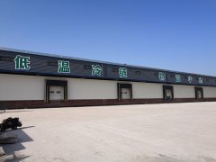 冷鏈市場加速發展,冷鏈物流要火了