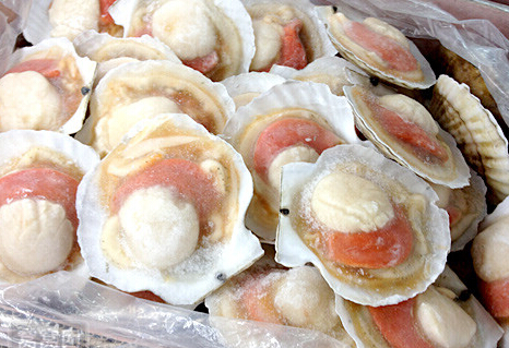 小型冷凍庫(kù)建設(shè)維護(hù)及安全問(wèn)題