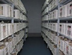 保鮮冷庫貯藏龍眼(桂圓)的方法