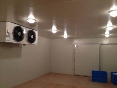 220V能建冷庫多大？（低溫冷庫）