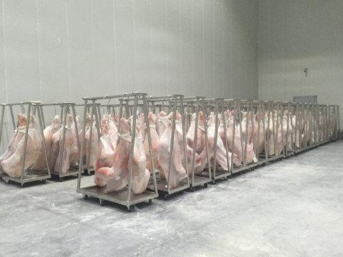 拼裝式冷庫建造工程造價，-18℃豬肉冷凍庫設備
