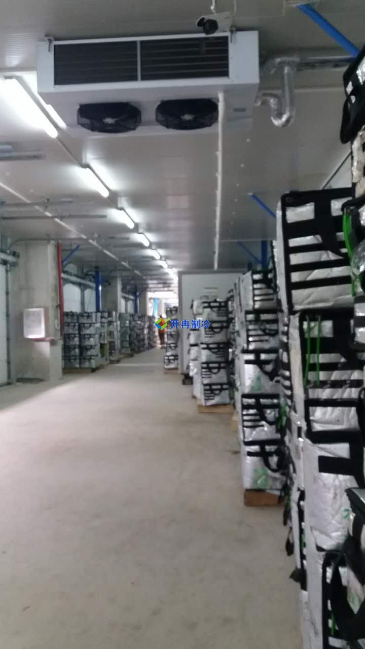1300平方米的低溫冷庫設計，冰庫冷庫造價怎么算？