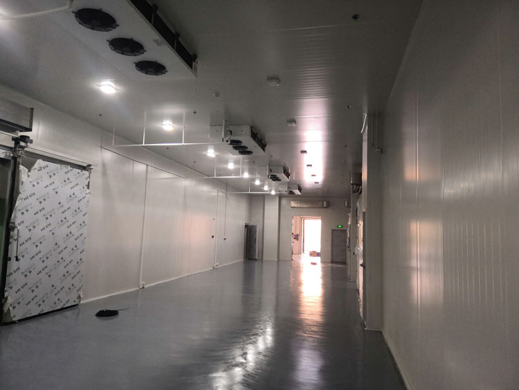 -20℃冷凍庫安裝制冷設備、保溫庫房造價咨詢