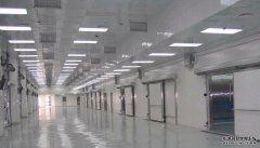 500噸蔬菜保鮮庫需要多大面積總投資造價是多少，設備日耗電量是